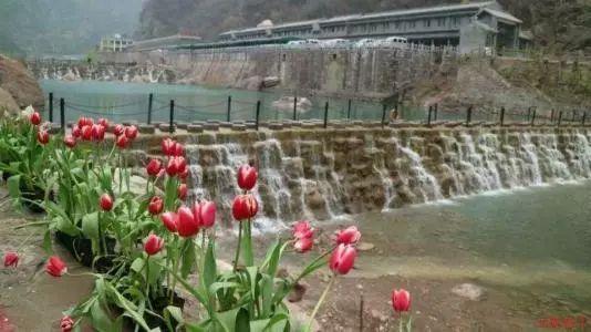 无尽战区·觉醒