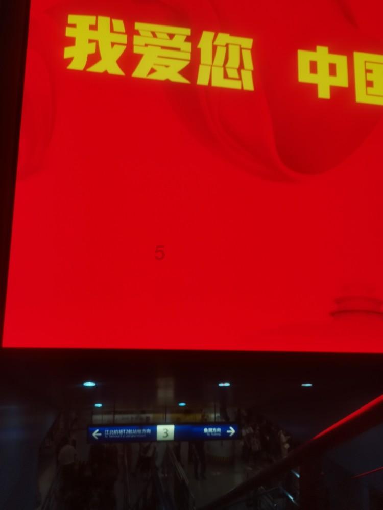 逃离仿真森林